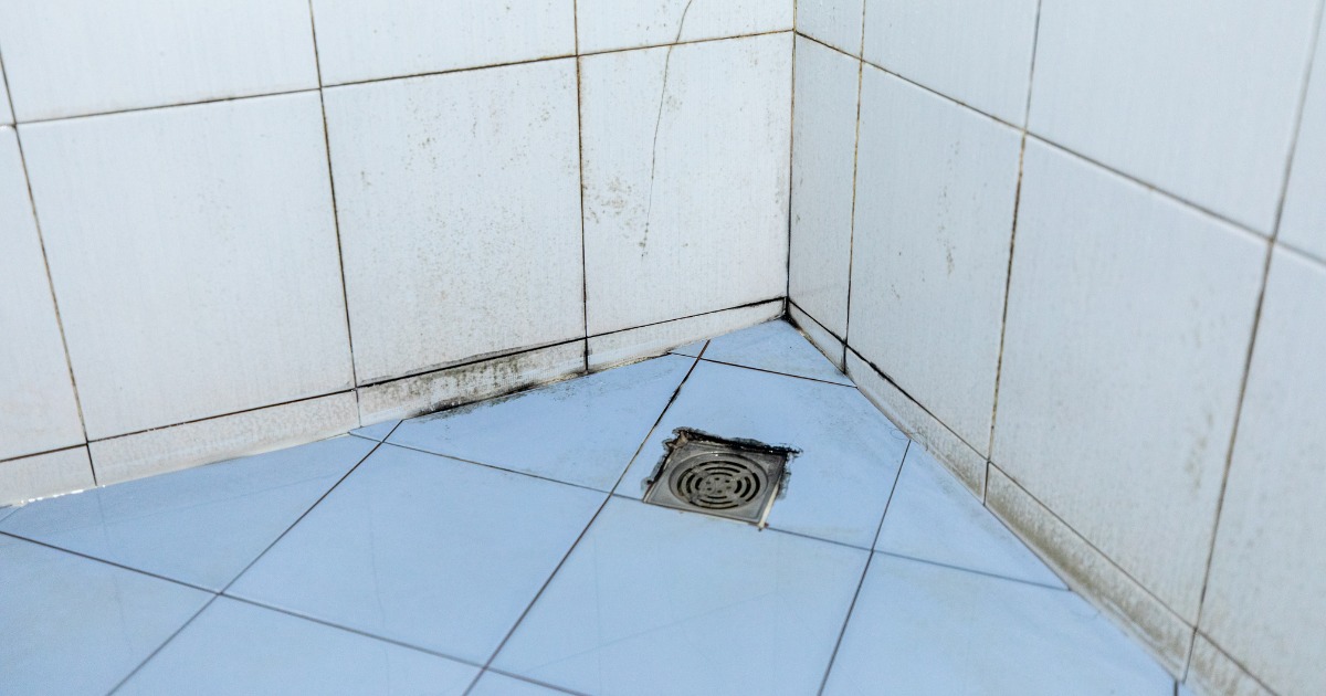 Bathroom mould around shower grout and silicone requiring professional mould removal